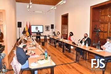 Sesión plenaria del mes de noviembre de 2020/TA y Francisco Javier Santana.